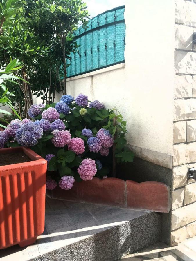 Ml Apartman Senj  Εξωτερικό φωτογραφία